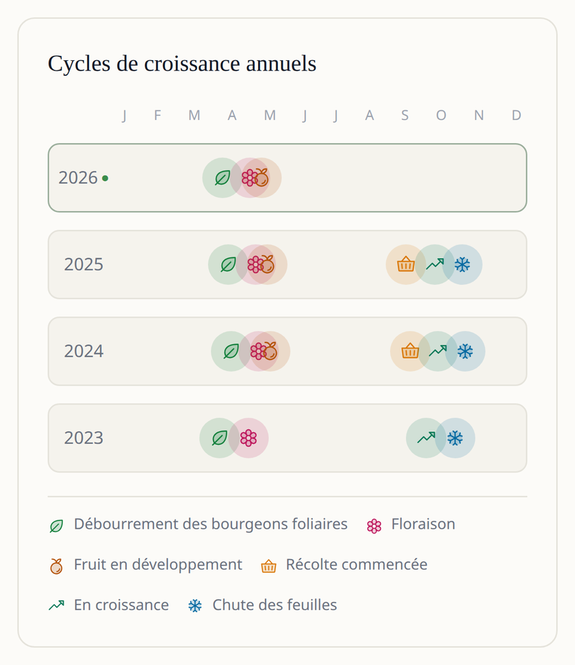 Écran de l'application Leaftide : quatre années de cycles de croissance d'un pommier côte à côte, du débourrement et de la floraison jusqu'à la récolte et la chute des feuilles.