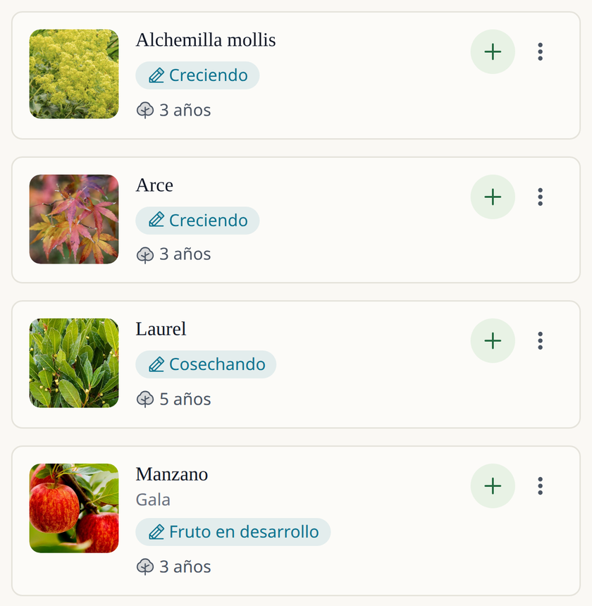 Pantalla de la app Leaftide: una lista de plantas permanentes (un arce, alquimila, un manzano y un laurel), cada una con su foto, su fase actual y su edad en años.