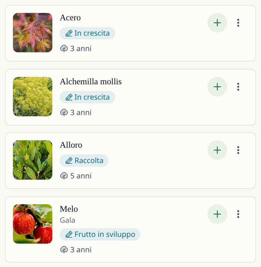 Schermata dell'app Leaftide: un elenco di piante perenni (un acero, l'alchemilla, un melo e un alloro), ciascuna con la sua foto, la fase attuale e l'età in anni.