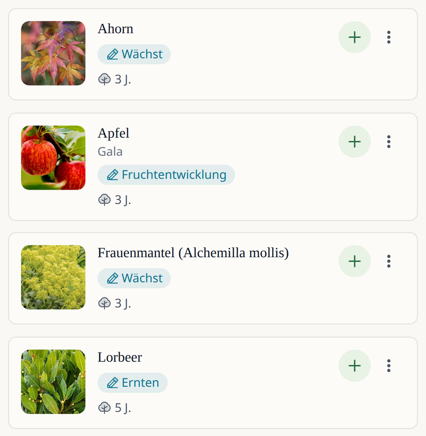 Leaftide-App-Ansicht: eine Liste mehrjähriger Pflanzen (ein Ahorn, Frauenmantel, ein Apfelbaum und ein Lorbeer), jeweils mit Foto, aktueller Phase und Alter in Jahren.