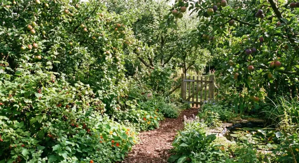 How to Plan and Track a Food Forest