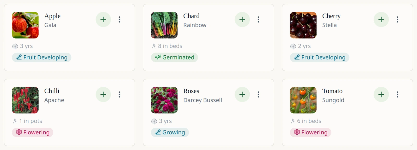 Leaftide plant cards for a Gala apple, rainbow chard, a cherry tree, a chilli, roses and a tomato, each with its photo and current stage.
