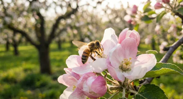 Fruit Tree Pollination Groups Explained