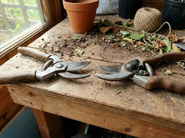 Bypass secateurs vs anvil secateurs comparison