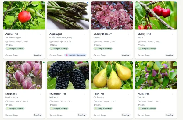 How I finally know what is in my garden