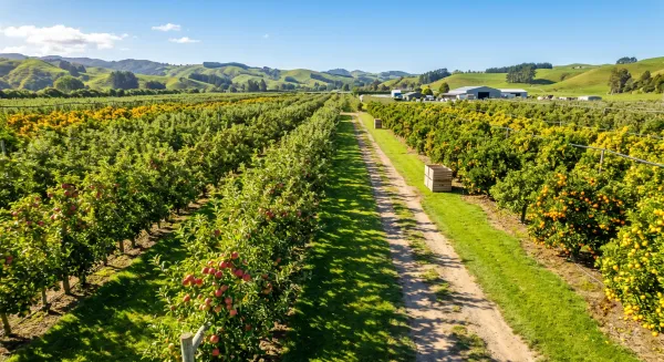 Southern Hemisphere Growing Seasons: How Leaftide Gets Them Right