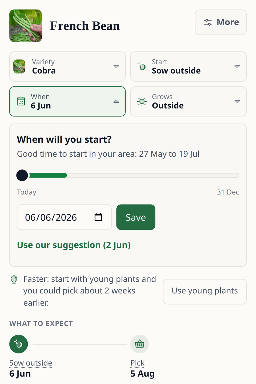 Leaftide planning a French bean: a good time to start in your area from 27 May to 19 July, a suggested sowing date, and what to expect, from sowing outside on 6 June to picking on 5 August.