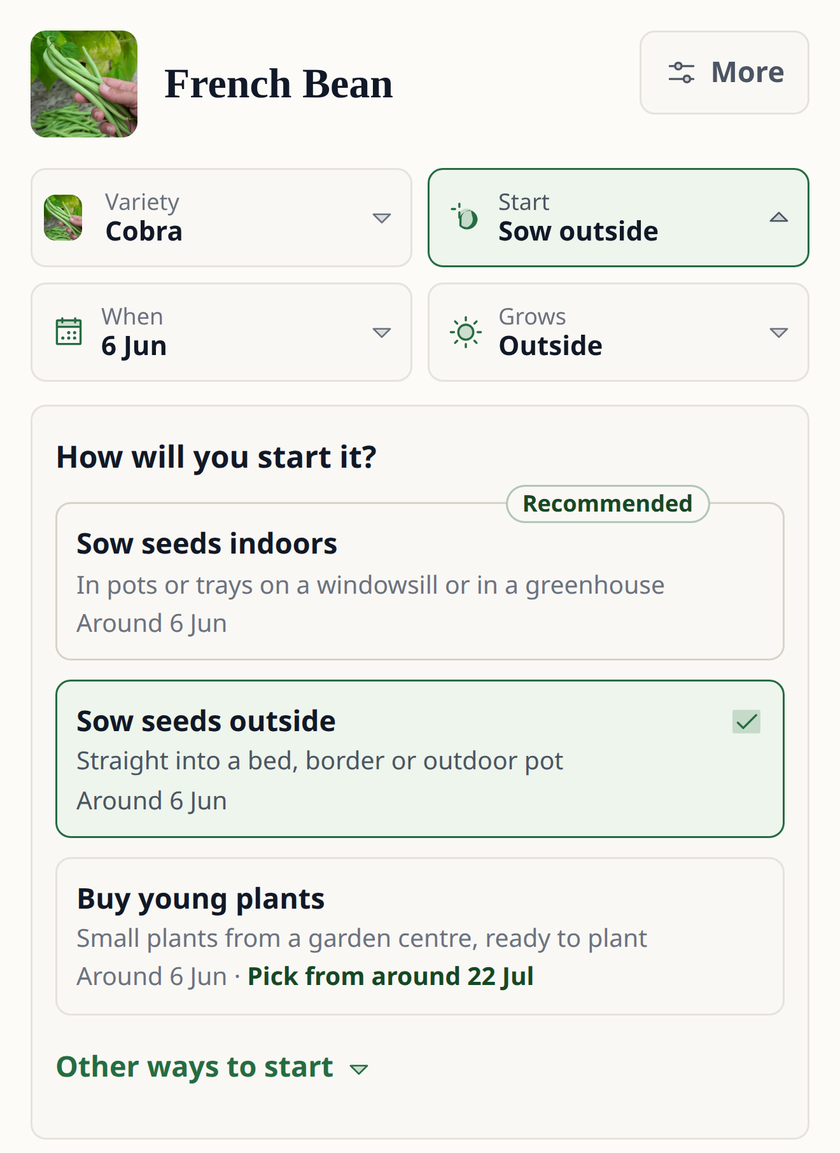 Leaftide preguntando cómo empezar una judía verde: sembrar en interior (recomendado), sembrar fuera o comprar plantones y recoger desde alrededor del 22 de julio.