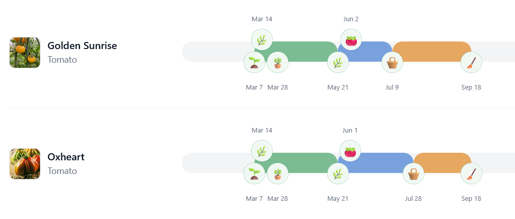 Leaving sowing charts behind: how I built climate-based dates for my garden